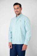 CAMISA SPORT OXFORD RAYA FONDO VERDE