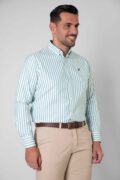 CAMISA SPORT OXFORD RAYA ANCHA VERDE - Imagen 3